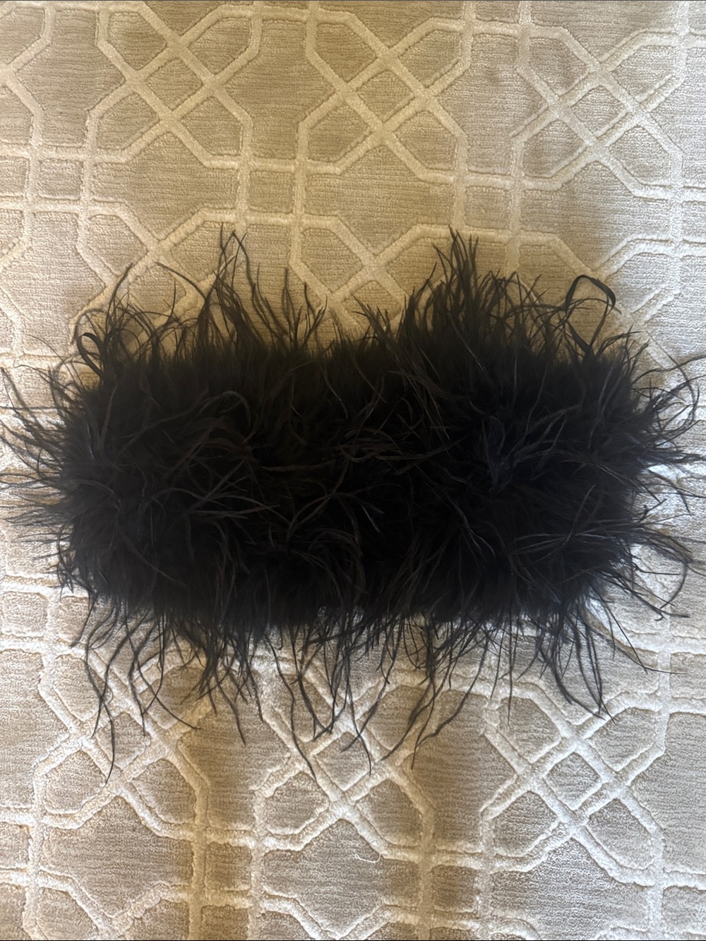 Lamarque strapless feather top